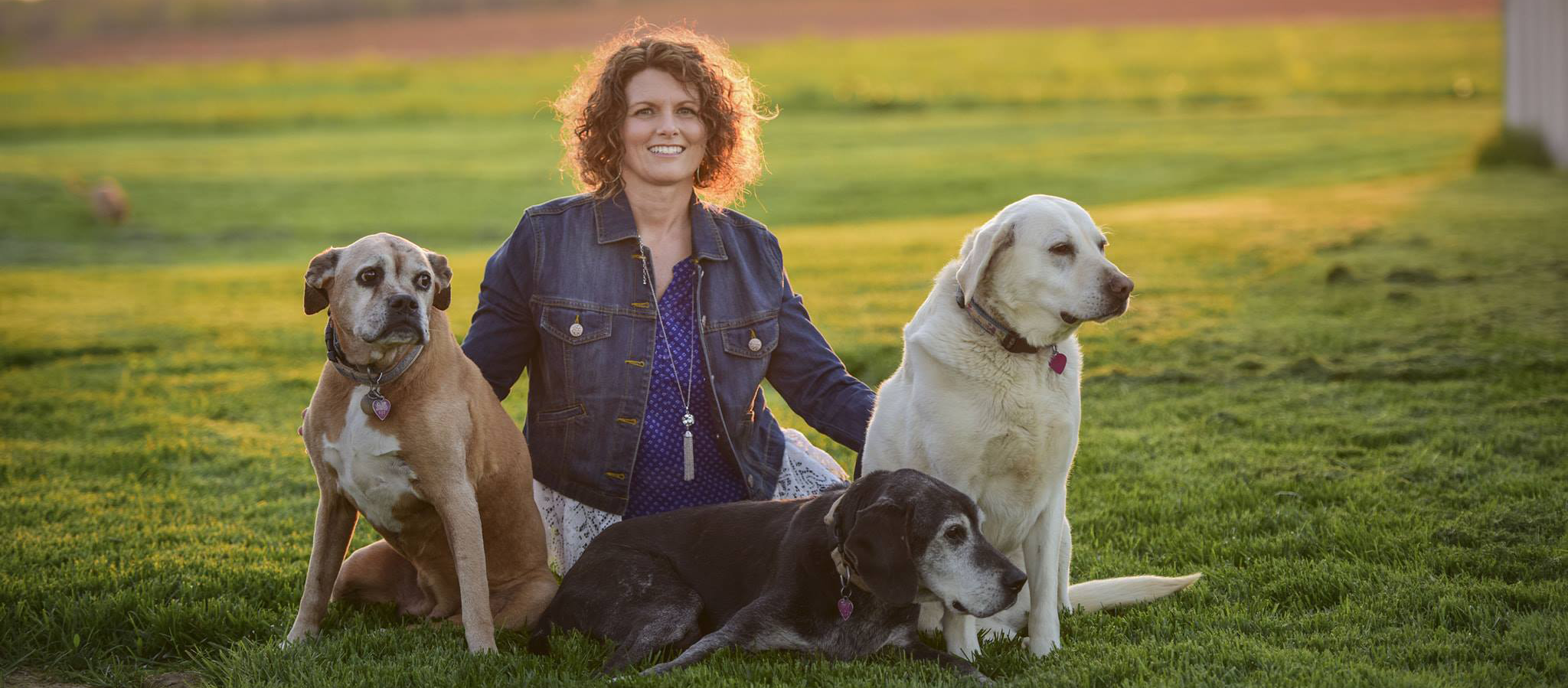 Loyal Companions Pet Services